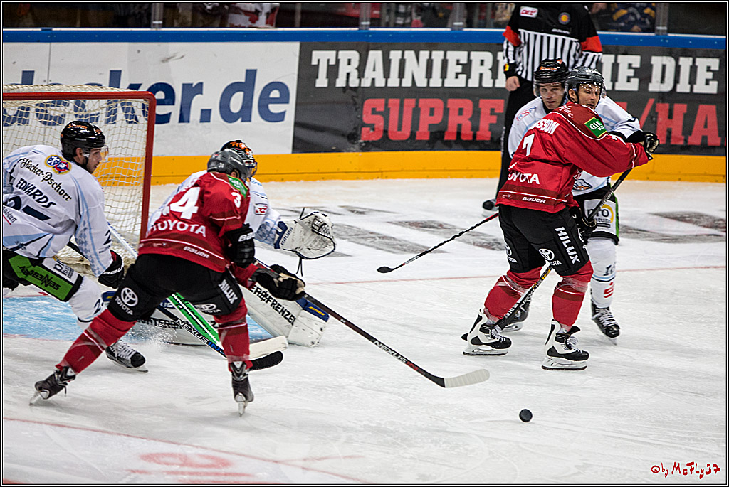 Koelner Haie - Straubing Tigers, 03.10.2016